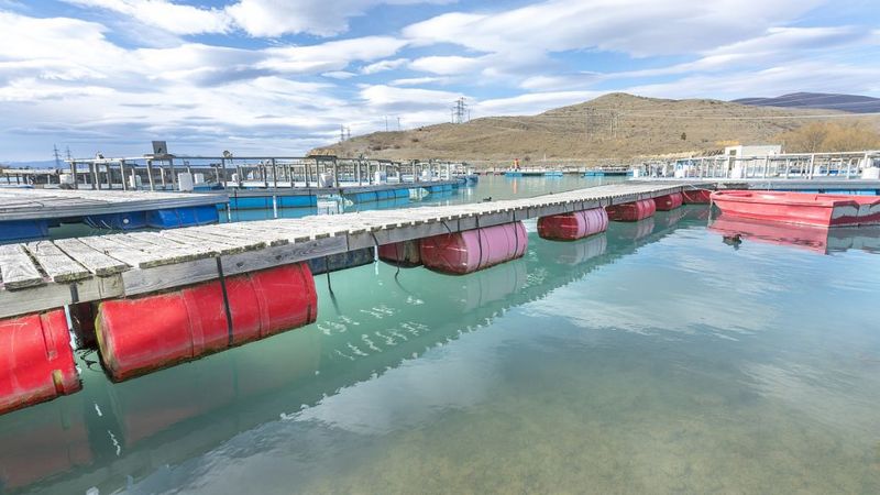污水起泡沫，用什么方法去除泡沫？