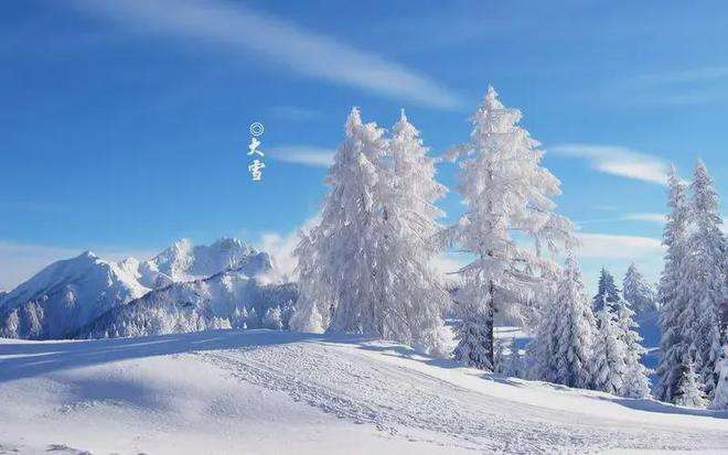 晨起開門雪滿山，雪晴云淡日光寒